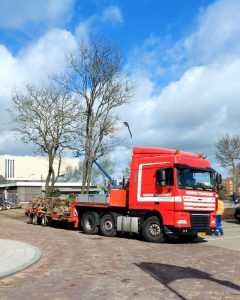 bomen verplanten